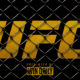 UFC Cage
