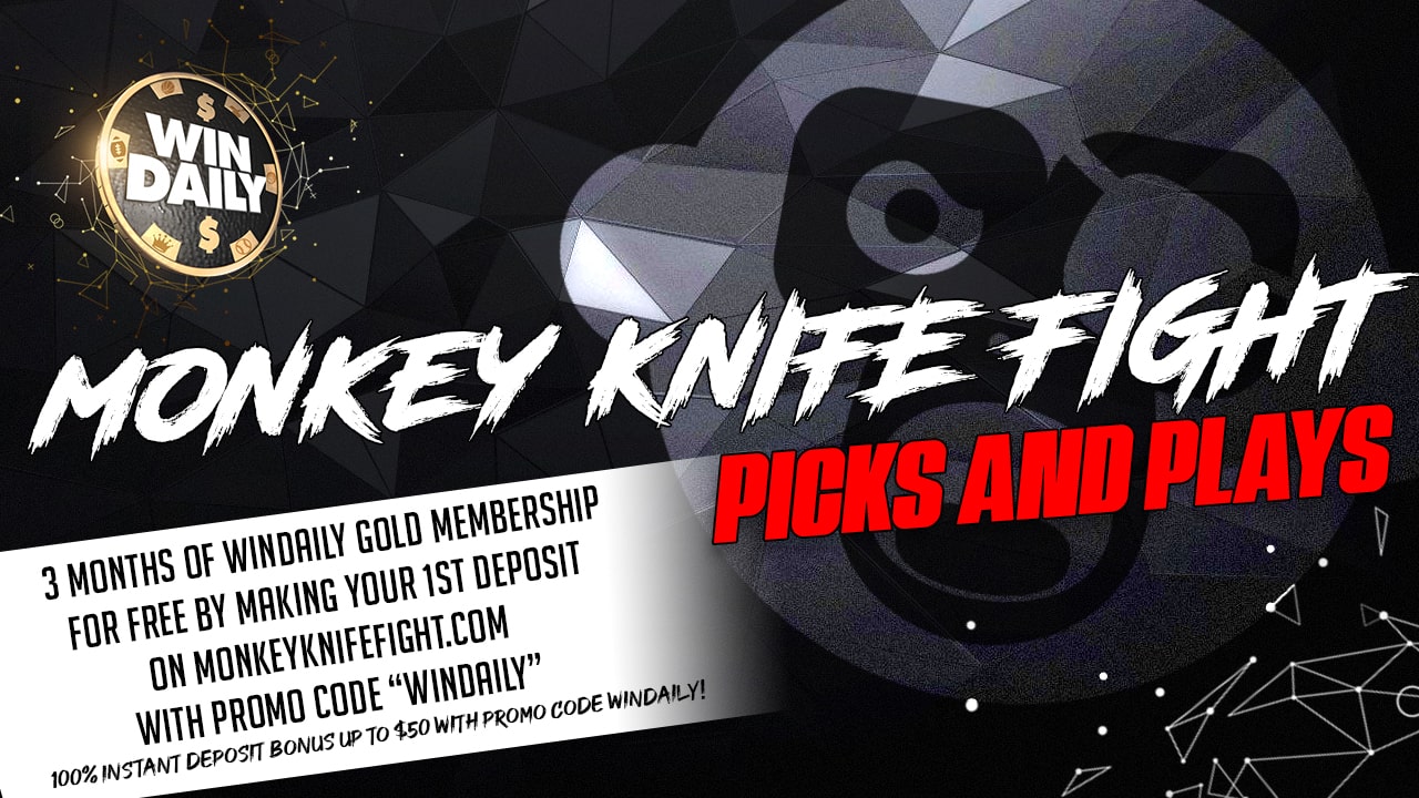 Monkey Knife Fight Plays NFL 11.29 Main Slate - Win Daily Sports